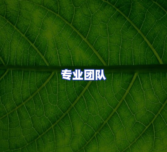 现代化资料管理中心